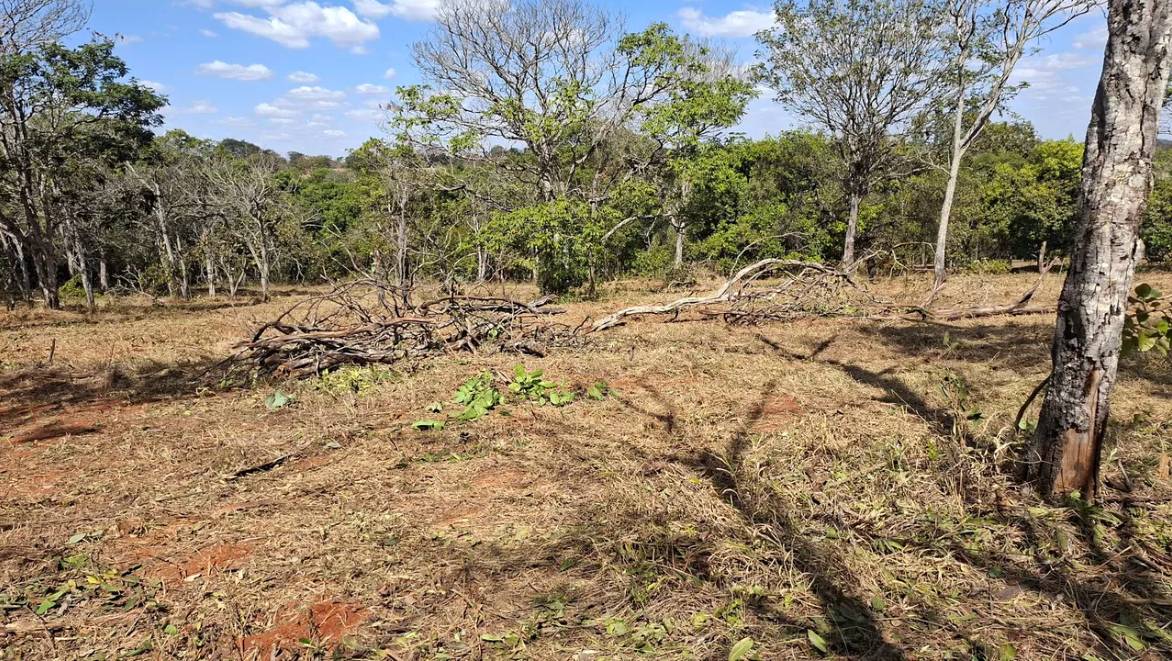 Chácara 7 km Uberlândia MG - Imagem 4