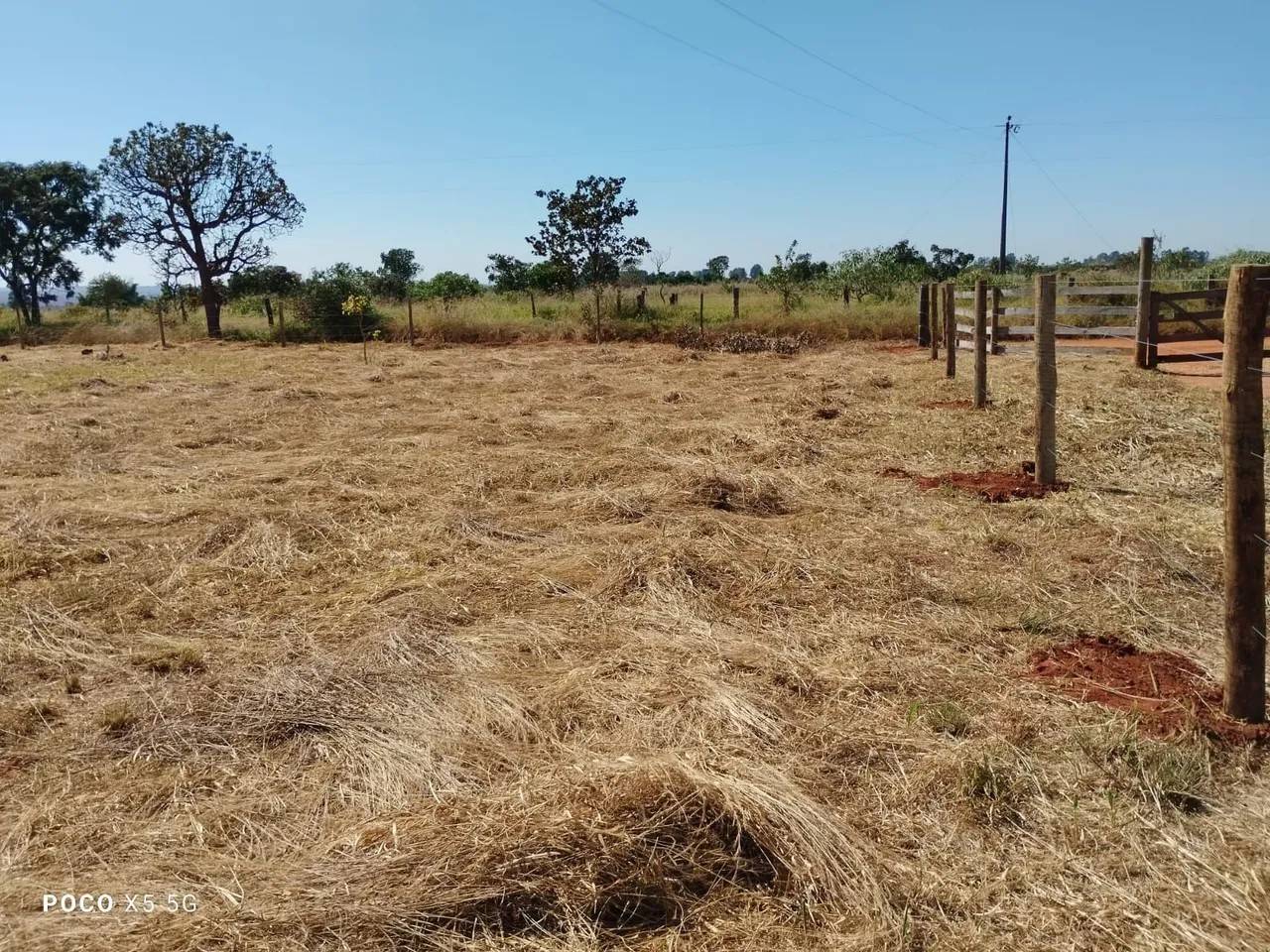 Terreno saída para a cidade prata - Imagem 4