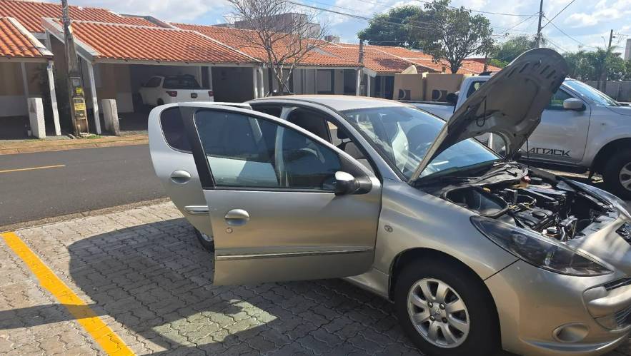 Peugeot 207 Sed. Passion XR Sport 1.4 Flex 8V 4P 2013 - Imagem 7