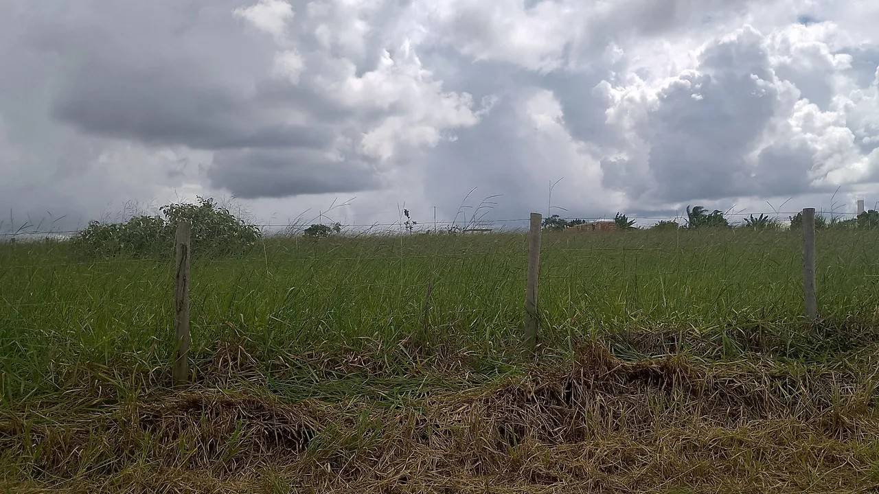 Chacara 1000 MTS Vendo ou troco por carro - Imagem 2