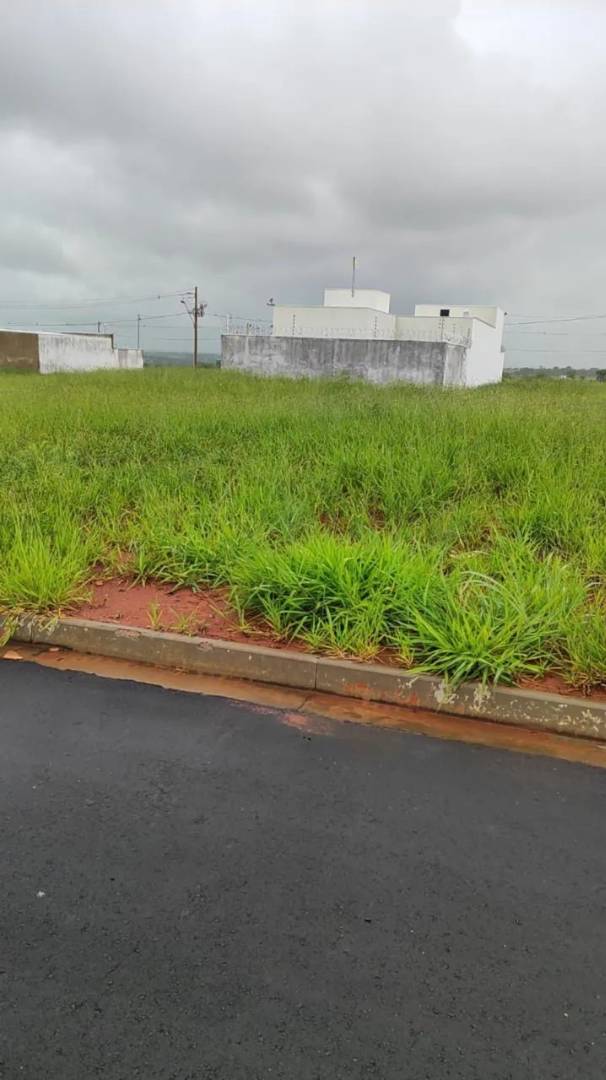Terreno GSP Life II, a maior medida do bairro 266m2, melhor localização, urgente - Imagem 2