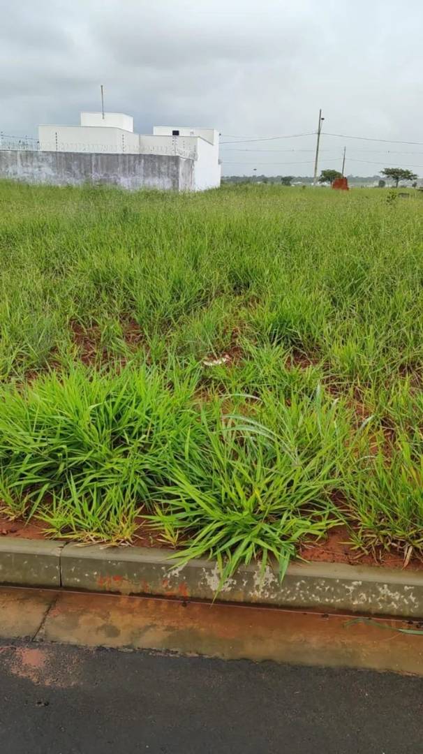 Terreno GSP Life II, a maior medida do bairro 266m2, melhor localização, urgente - Imagem 3