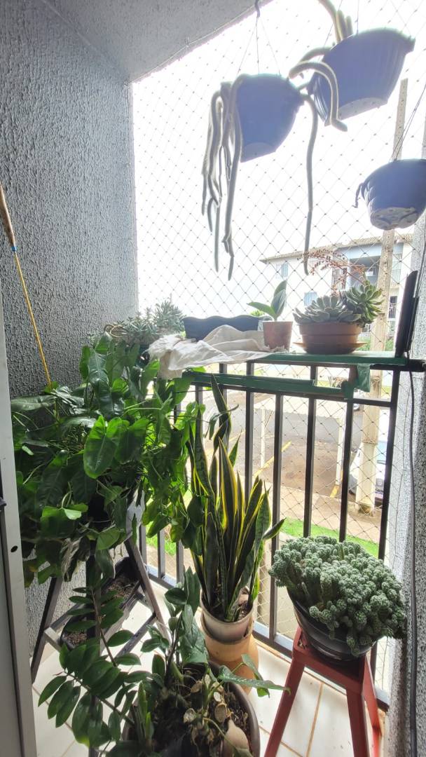 Apartamento  - Imagem 4
