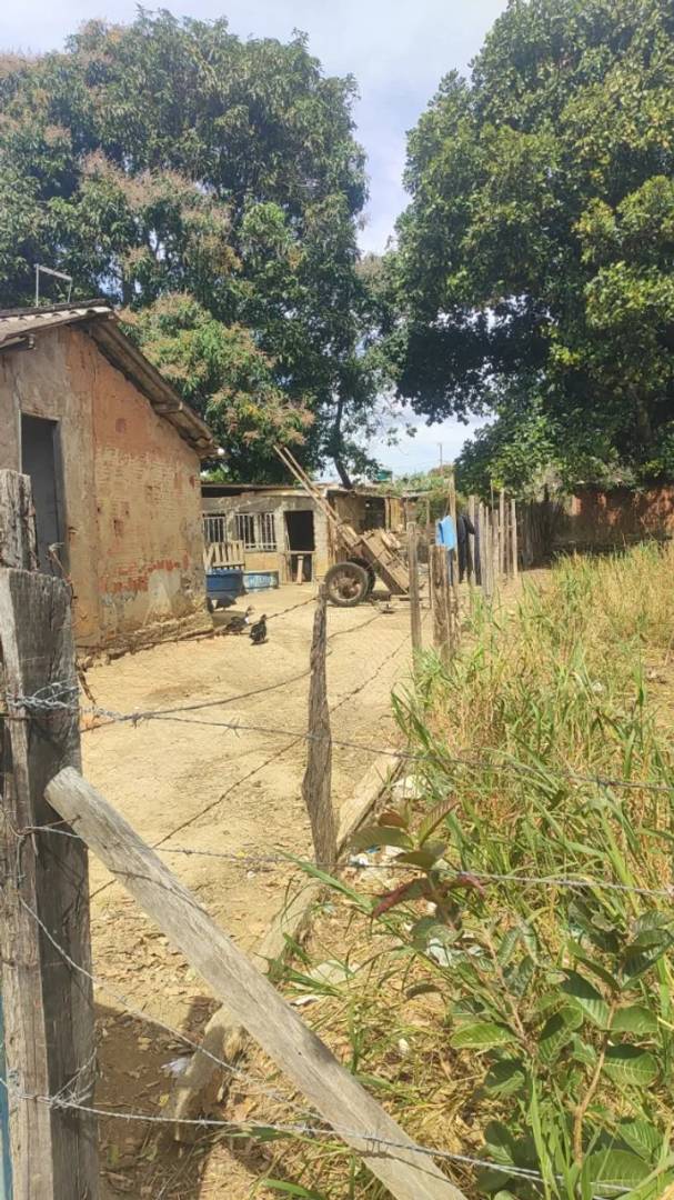 Vendo um terreno no bairro vieno 10/40 bairro vieno Araguari