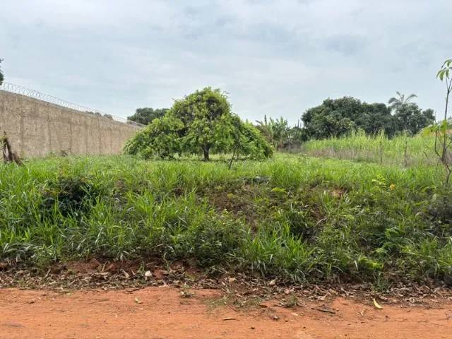 Terreno Morada Nova 1000m2 - Imagem 2